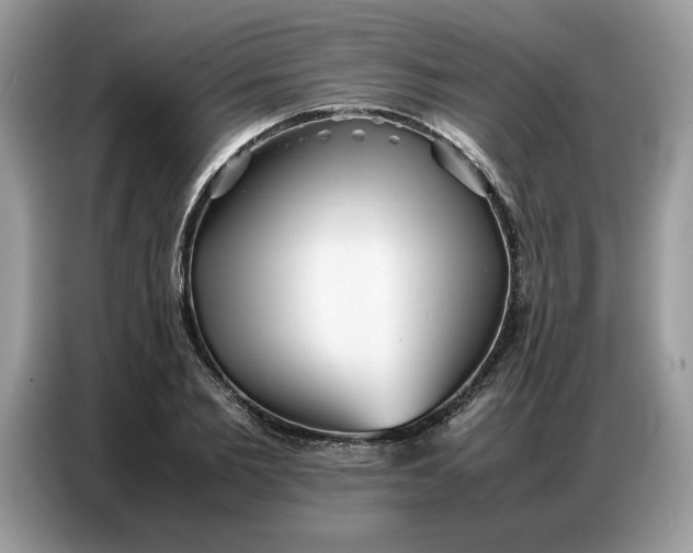 X0000086740885200704271648