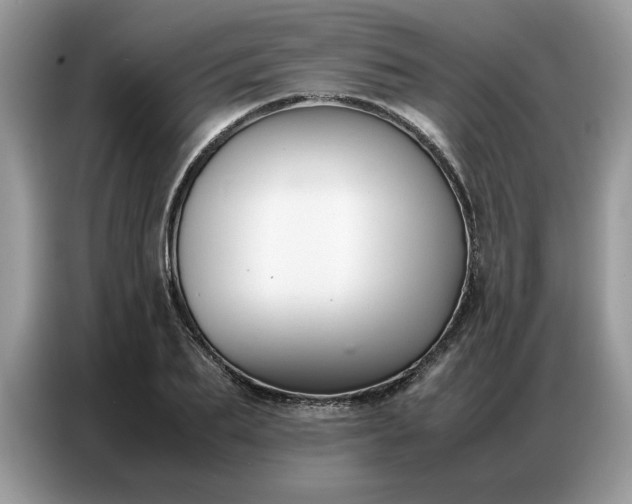 X0000086740887200704271648