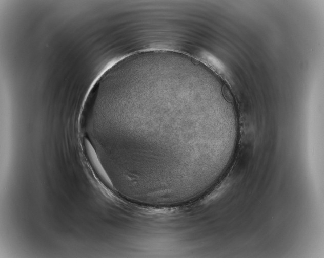 X0000086740892200704271648