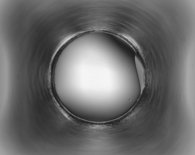 X0000086740894200704271648