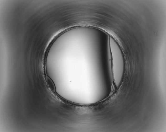 X0000086740896200704271648