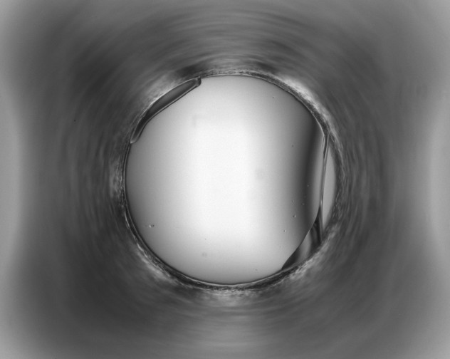 X0000086740897200704271648