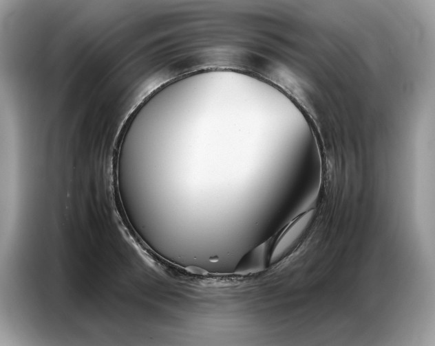 X0000086740898200704271648