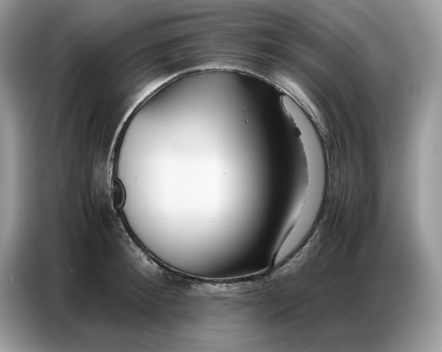 X0000086740900200704271648