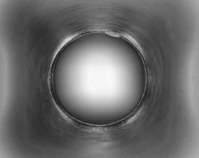 X0000086740901200704271648