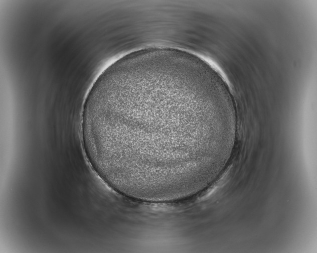 X0000086740903200704271648