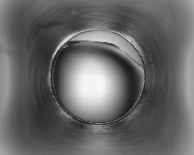 X0000086740904200704271648