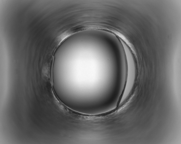 X0000086740905200704271648