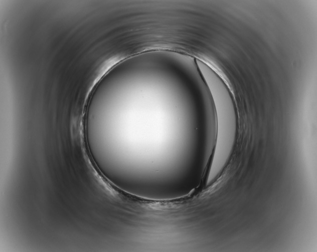 X0000086740906200704271648