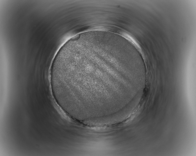 X0000086740907200704271648