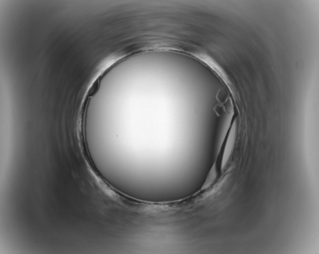 X0000086740909200704271648