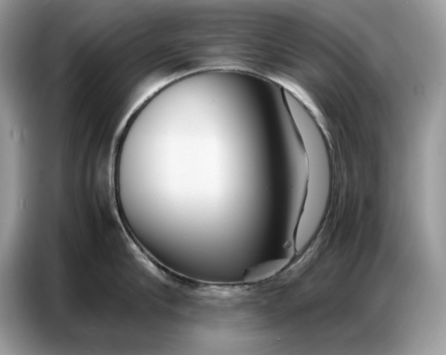 X0000086740910200704271648