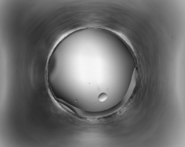 X0000086740911200704271648