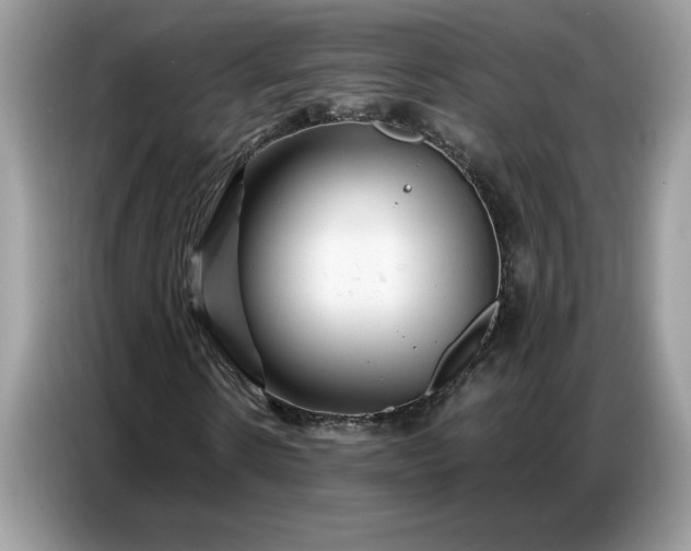 X0000086740914200704271647