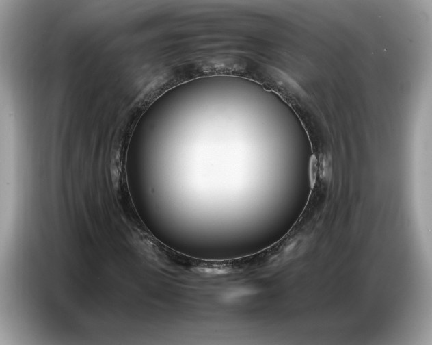 X0000086740915200704271647