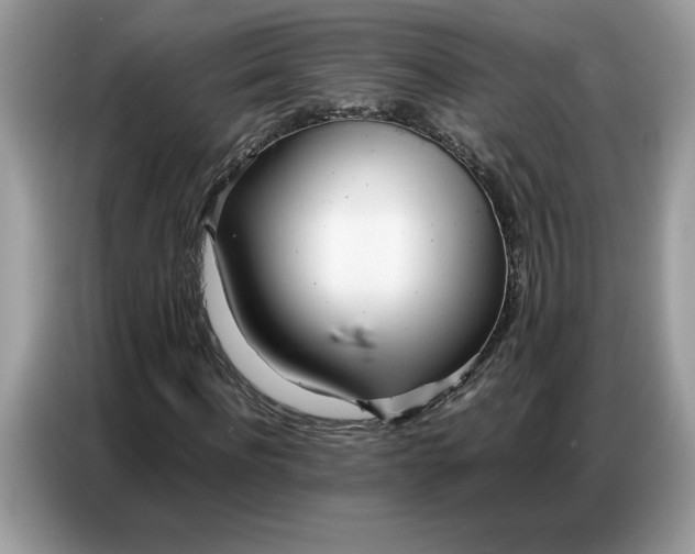 X0000086740916200704271647