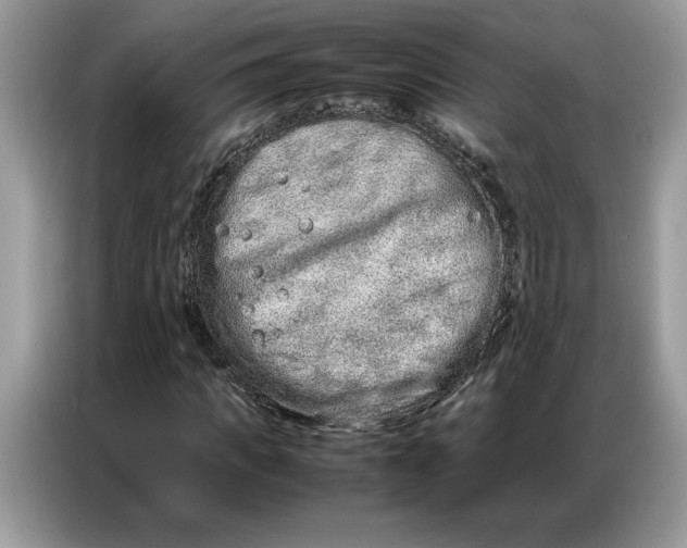 X0000086740917200704271647