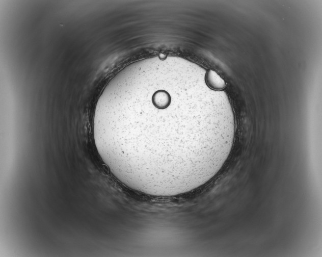 X0000086740918200704271647