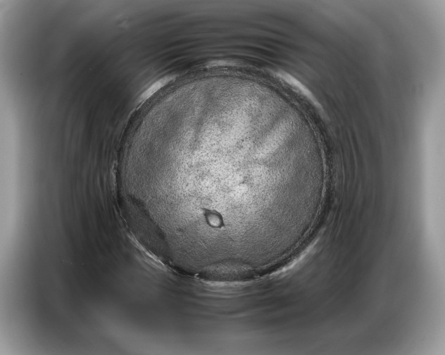 X0000086740921200704271647