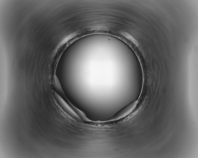 X0000086740922200704271647