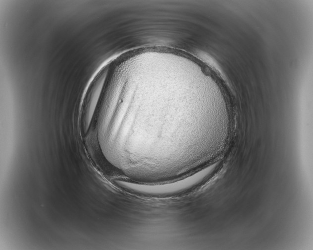 X0000086740924200704271647