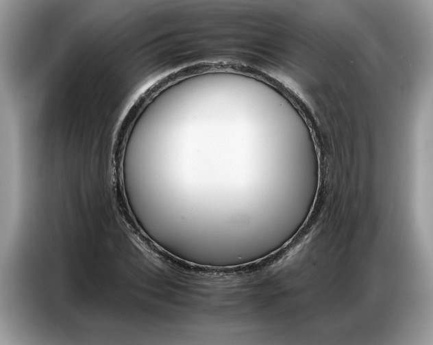 X0000086740927200704271647