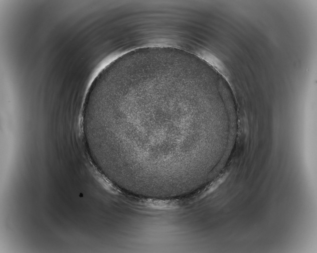 X0000086740928200704271647