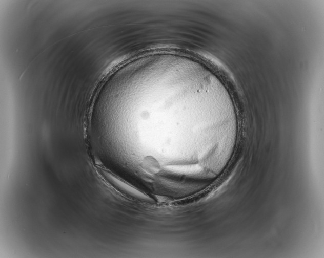 X0000086740929200704271647