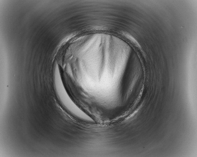 X0000086740930200704271647