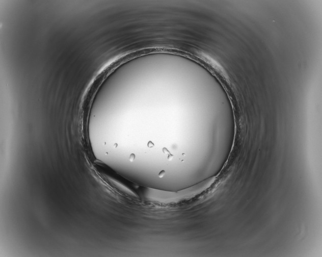 X0000086740931200704271647