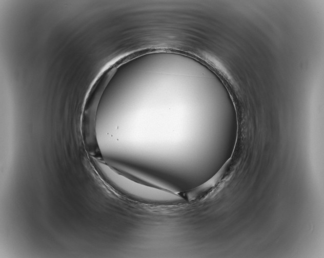 X0000086740932200704271647