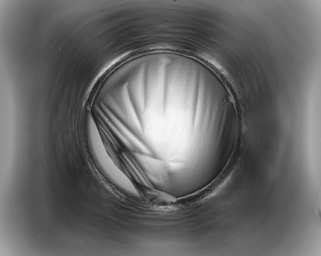 X0000086740933200704271647