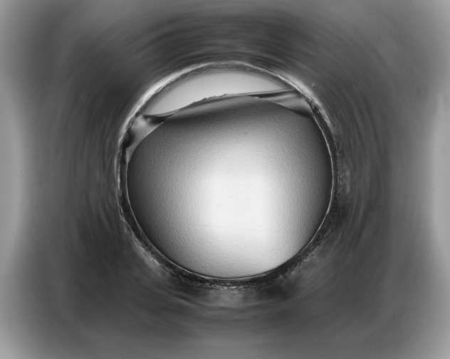 X0000086740935200704271647