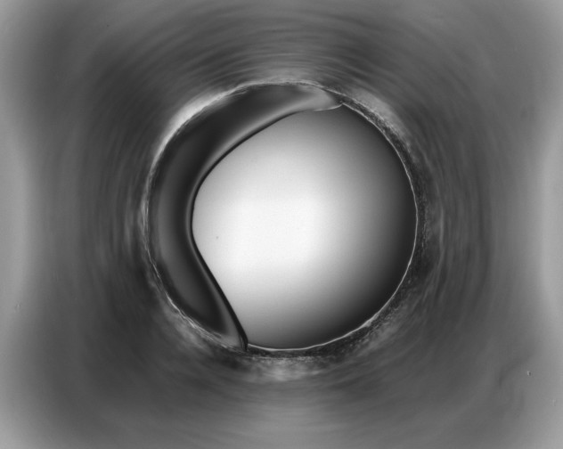 X0000086740936200704271647