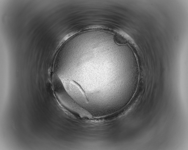 X0000086740937200704271647