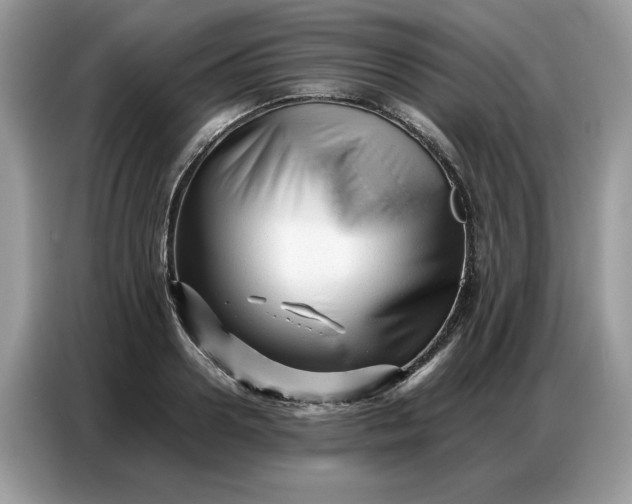 X0000086740938200704271647