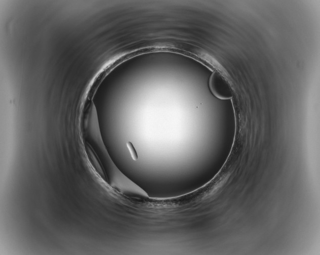 X0000086740939200704271647