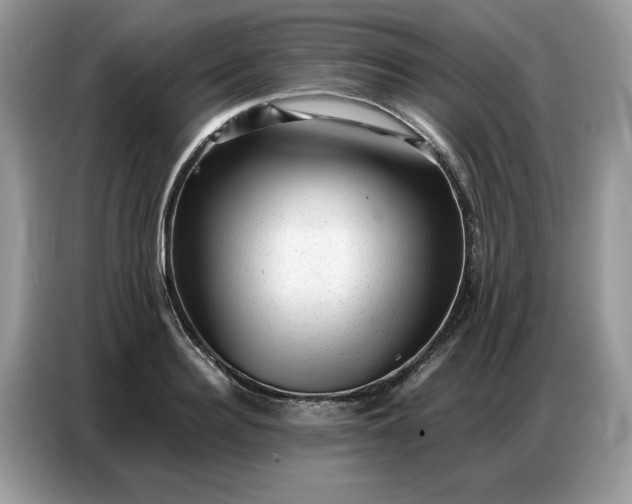 X0000086740940200704271647