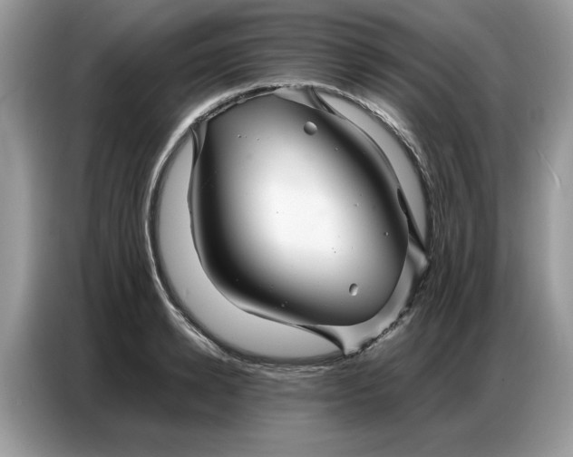 X0000086740942200704271647