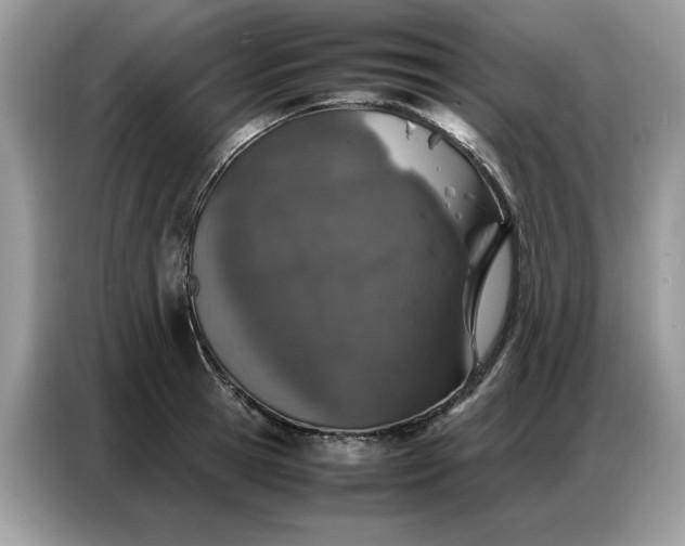 X0000086740945200704271648