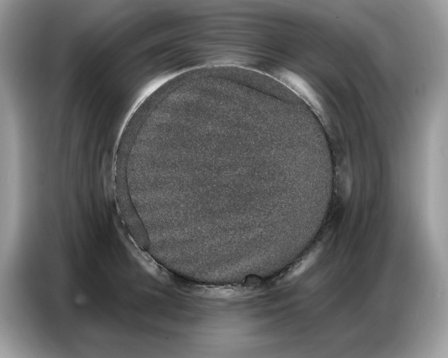 X0000086740948200704271648