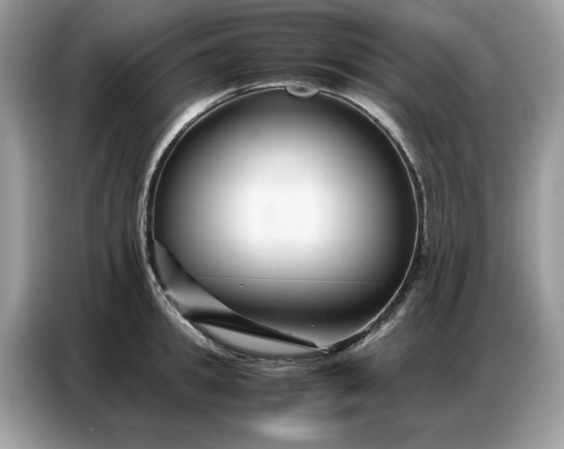 X0000086740949200704271648