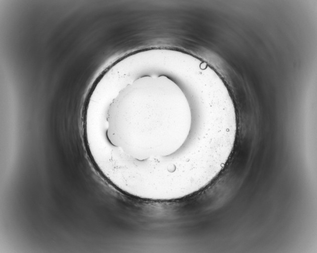 X0000086740950200704271648