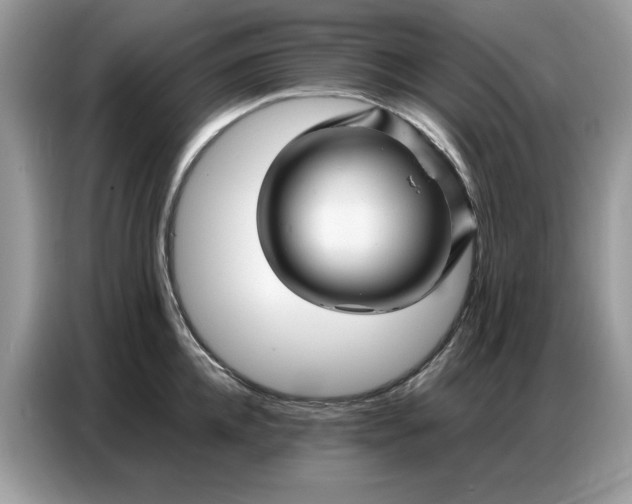 X0000086740952200704271648