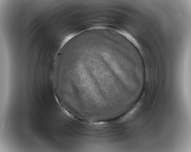 X0000086740953200704271648