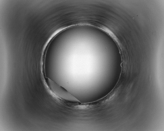 X0000086740955200704271648