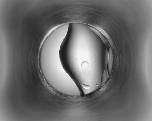 X0000086740956200704271648