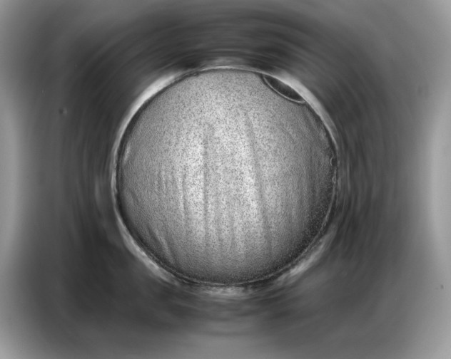 X0000086740957200704271648