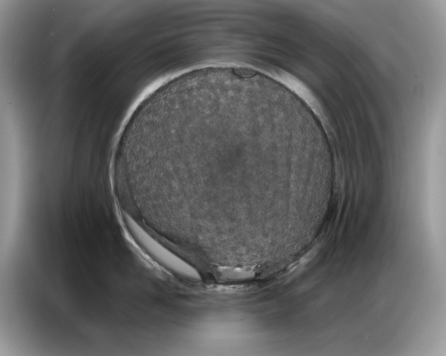 X0000086740958200704271648