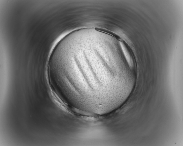 X0000086740960200704271648